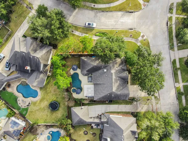 a view of a flower in a yard