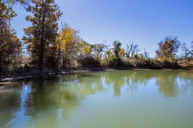 a view of a dry yard with trees