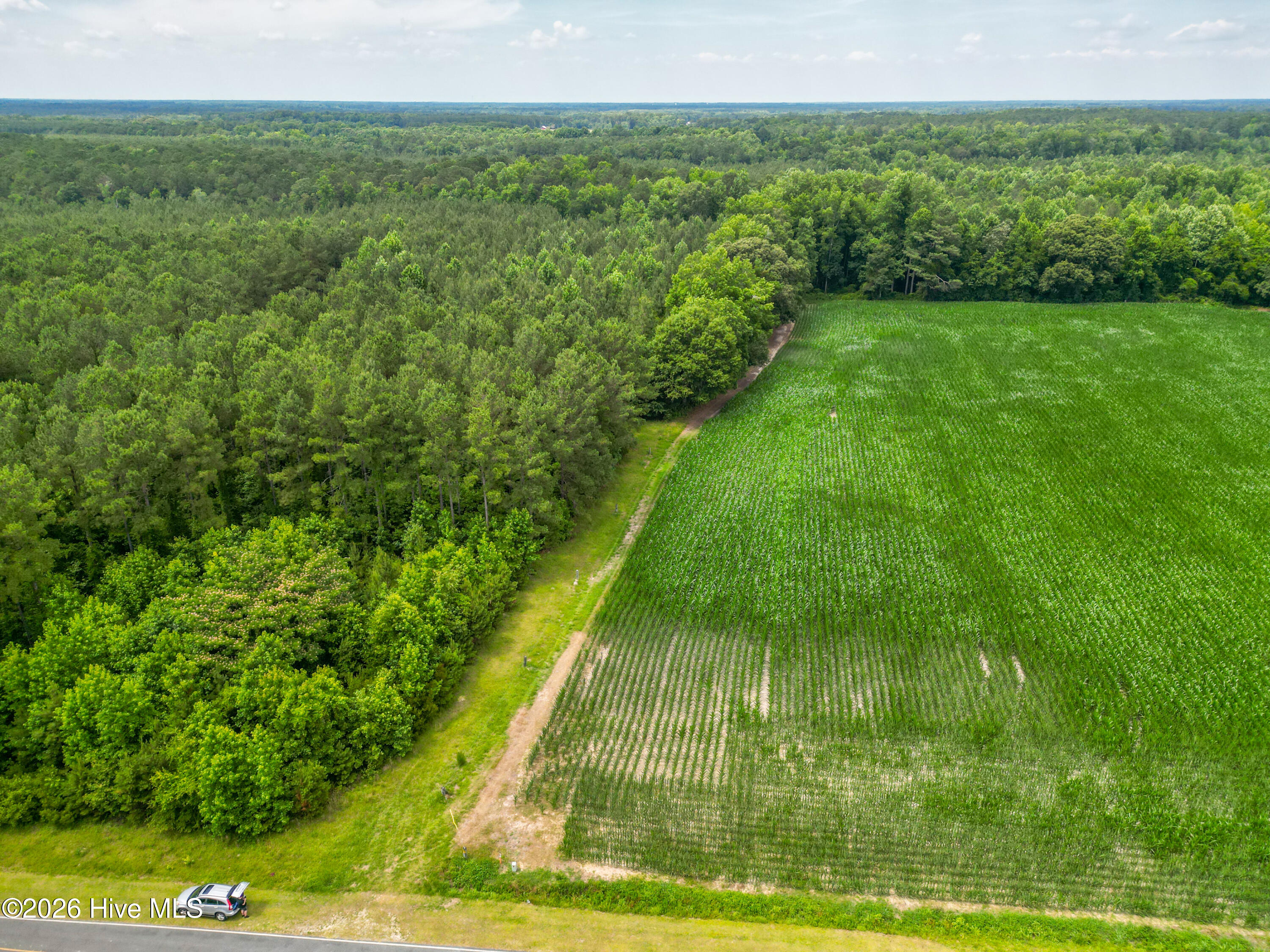 Tbd Farmers Union Road Clarkton, NC 28433 - Photo 8 of 13