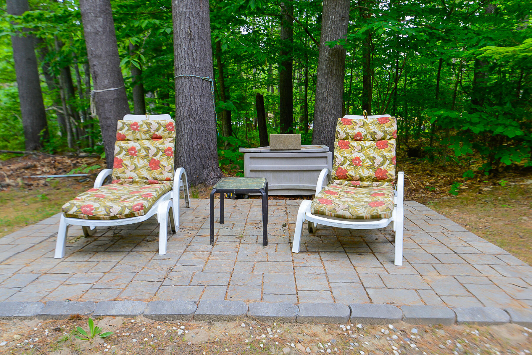 24 Dillingham Road Naples, ME 04055 - Photo 11 of 53 24 dillingham-4