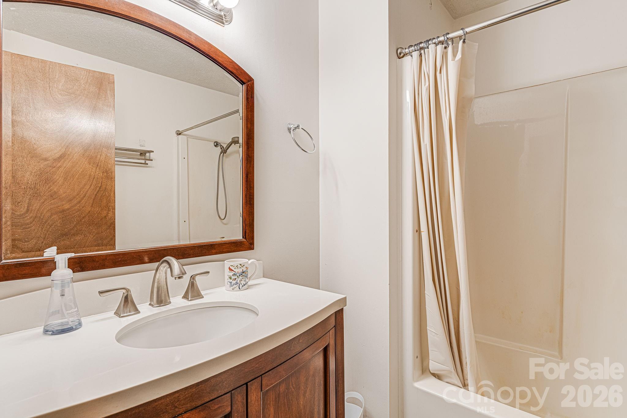 61 Spring Cove Drive Brevard, NC 28712 - Photo 15 of 39 a bathroom with a sink and a mirror