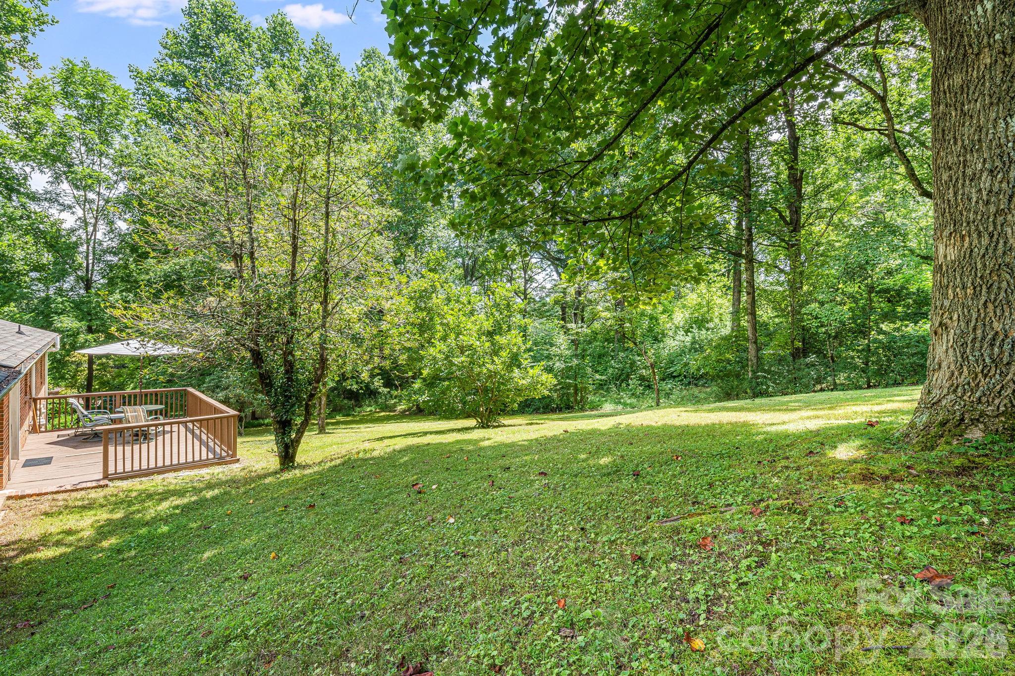 61 Spring Cove Drive Brevard, NC 28712 - Photo 31 of 39 a view of a field with a tree