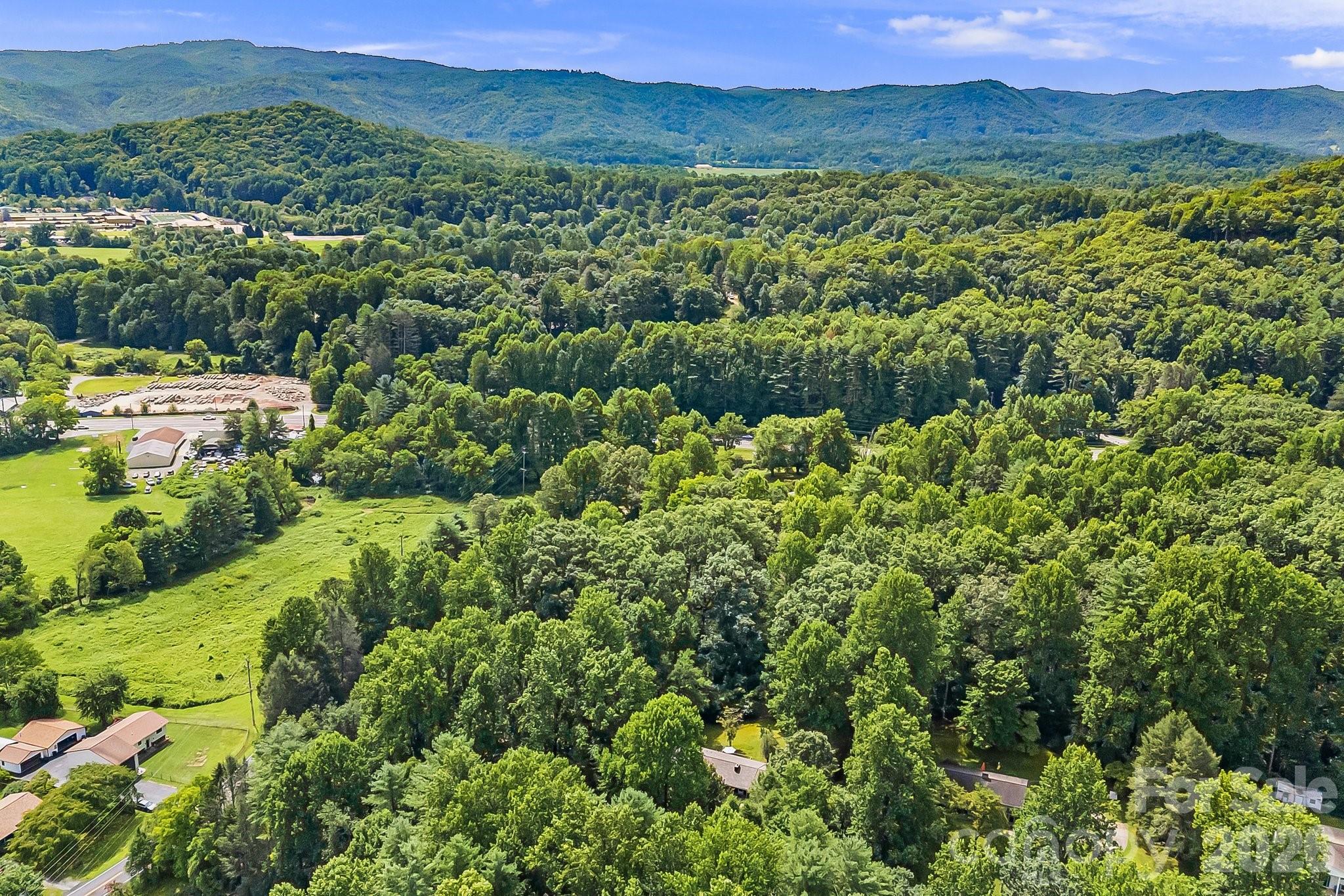 61 Spring Cove Drive Brevard, NC 28712 - Photo 33 of 39 a view of a lush green hillside and houses