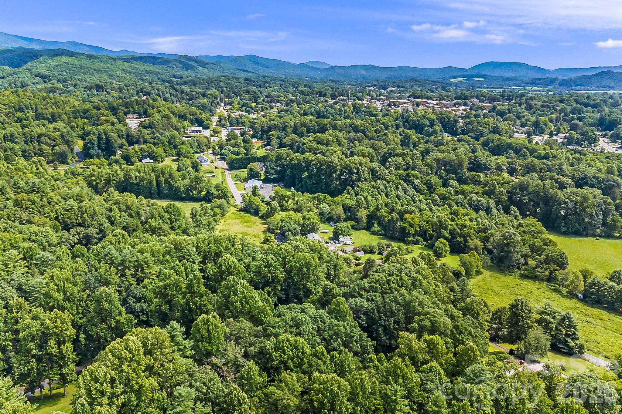 61 Spring Cove Drive Brevard, NC 28712 - Photo 35 of 39 a view of a city with mountain
