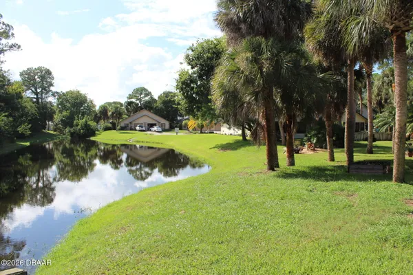 a view of a park with large trees