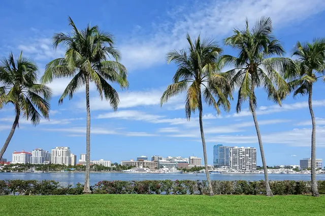 a view of outdoor space with palm trees
