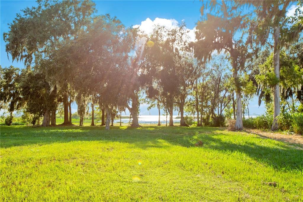 4810 Calasans Avenue St. Cloud, FL 34771 - Photo 11 of 34