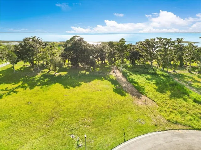 a view of yard with swimming pool and trees in the background
