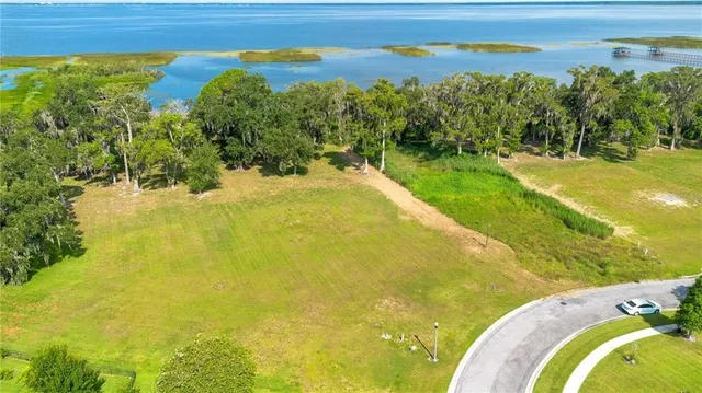 a view of an ocean from a yard