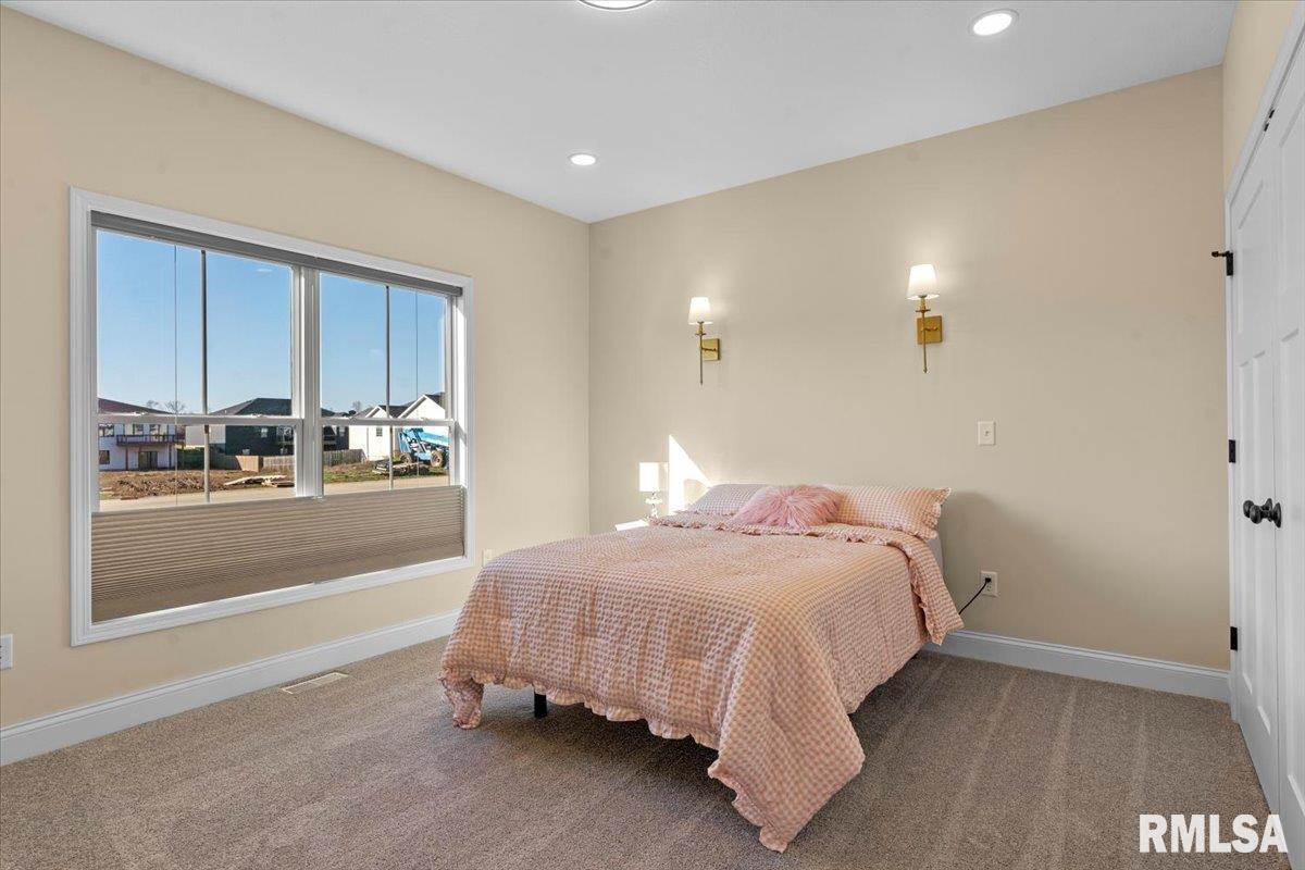 55 Firefly Court Chatham, IL 62629 - Photo 24 of 42