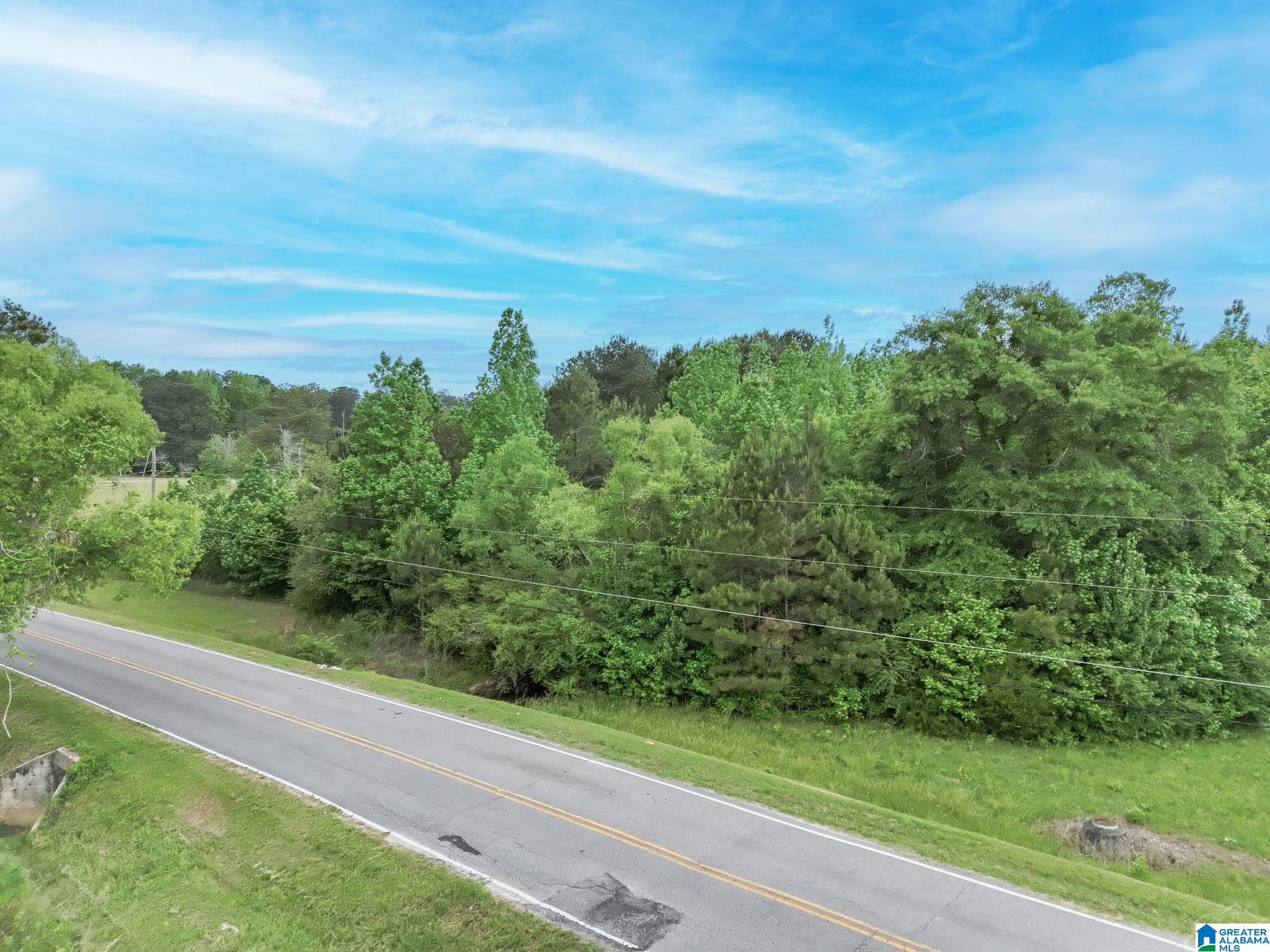 0 Temple Road, Unit 1 Clanton, AL 35045 - Photo 7 of 13