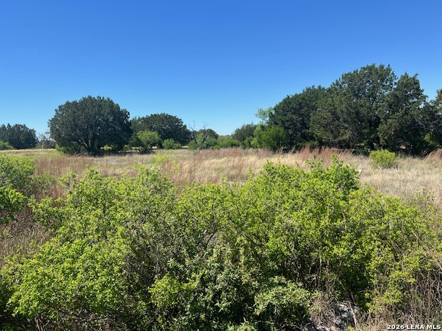 25384 Quick Draw Marble Falls, TX 78654 - Photo 5 of 5