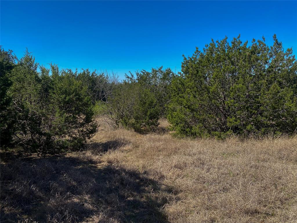 1700 Don Lee Road Joshua, TX 76058 - Photo 20 of 33