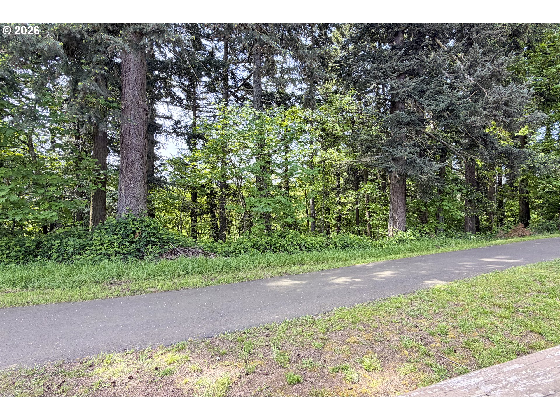 1927 South Fir Loop Canby, OR 97013 - Photo 33 of 35 a view of a yard with plants and large trees