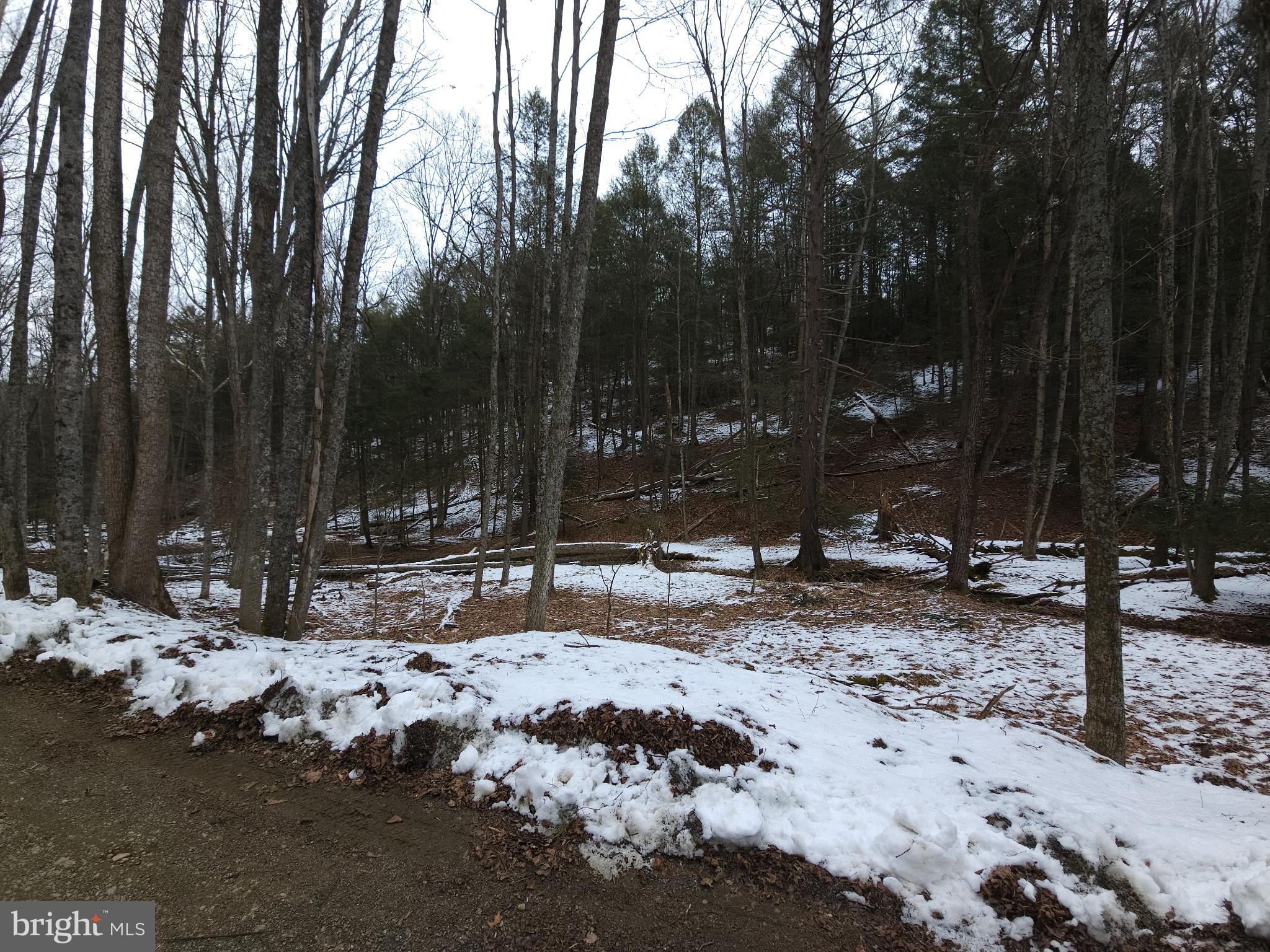 0 Spriggle Road Elliottsburg, PA 17024 - Photo 11 of 18 Winter's embrace in a tranquil forest scene.