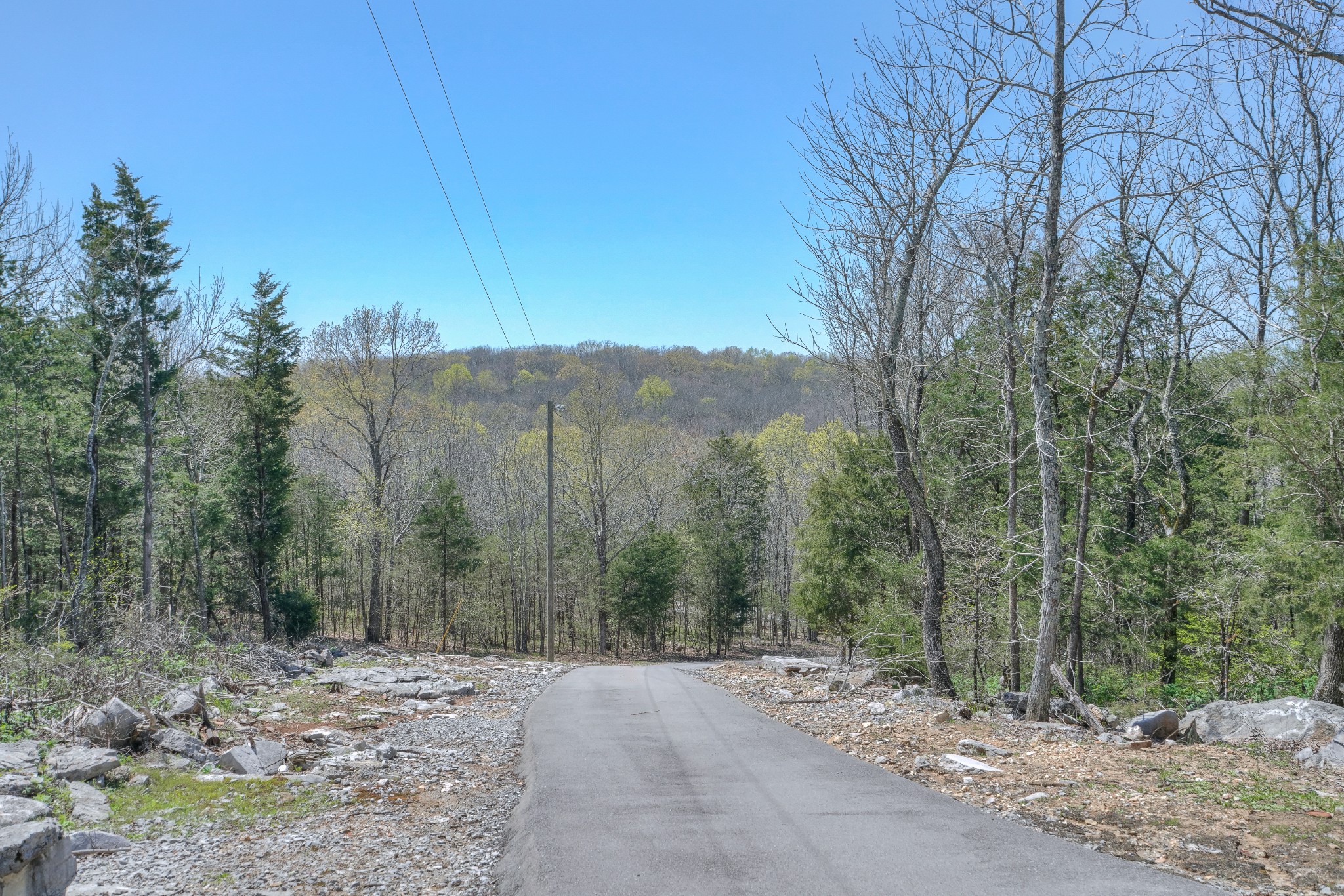 9515 South Windrow Road Rockvale, TN 37153 - Photo 6 of 37 Gallery Image 6