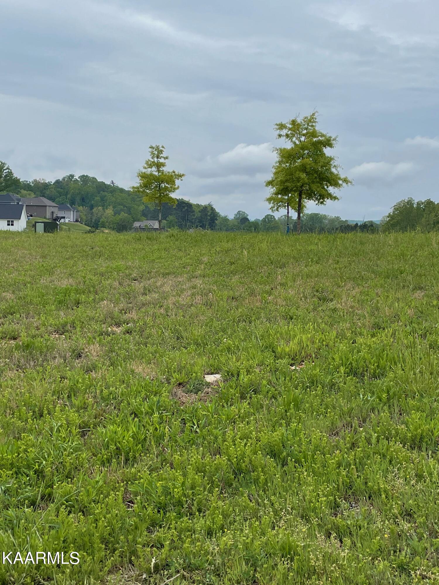 113 Checkerberry Road Oak Ridge, TN 37830 - Photo 1 of 4 113 Checkerberry