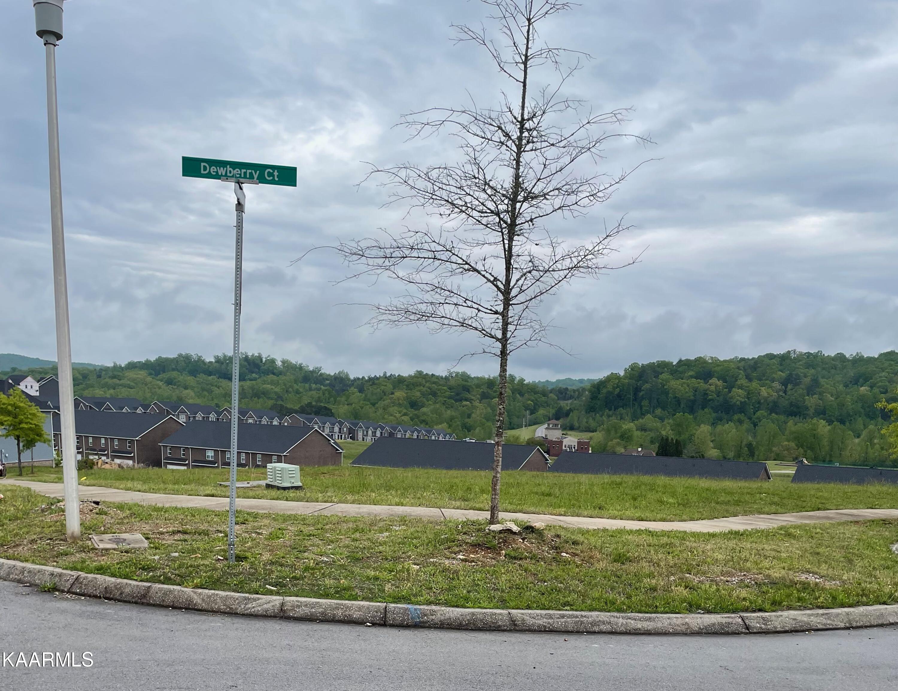 113 Checkerberry Road Oak Ridge, TN 37830 - Photo 2 of 4 Corner Lot