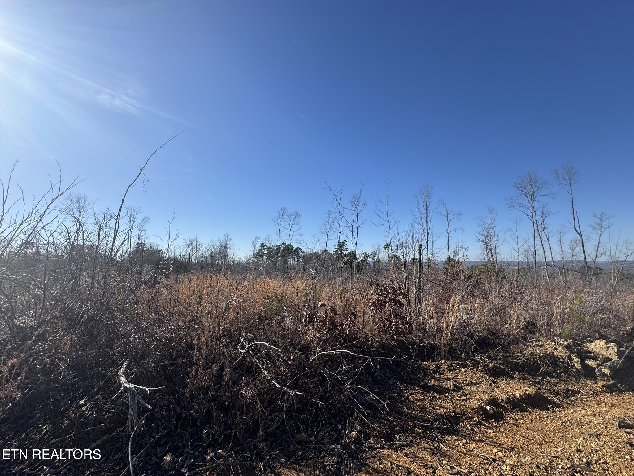 Mccubbins Road Strawberry Plains, TN 37871 - Photo 11 of 19 IMG_7793