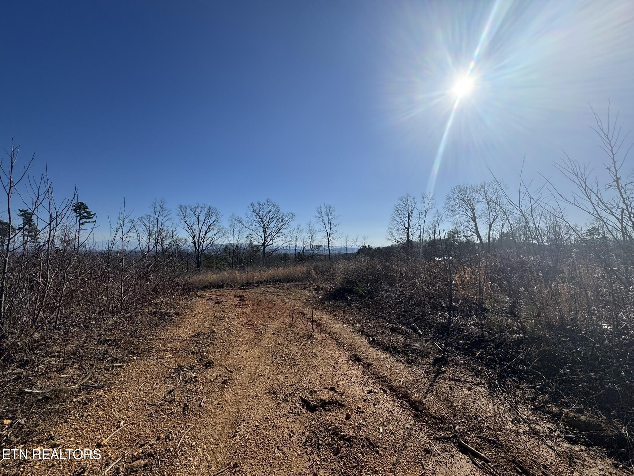 Mccubbins Road Strawberry Plains, TN 37871 - Photo 12 of 19 IMG_7794