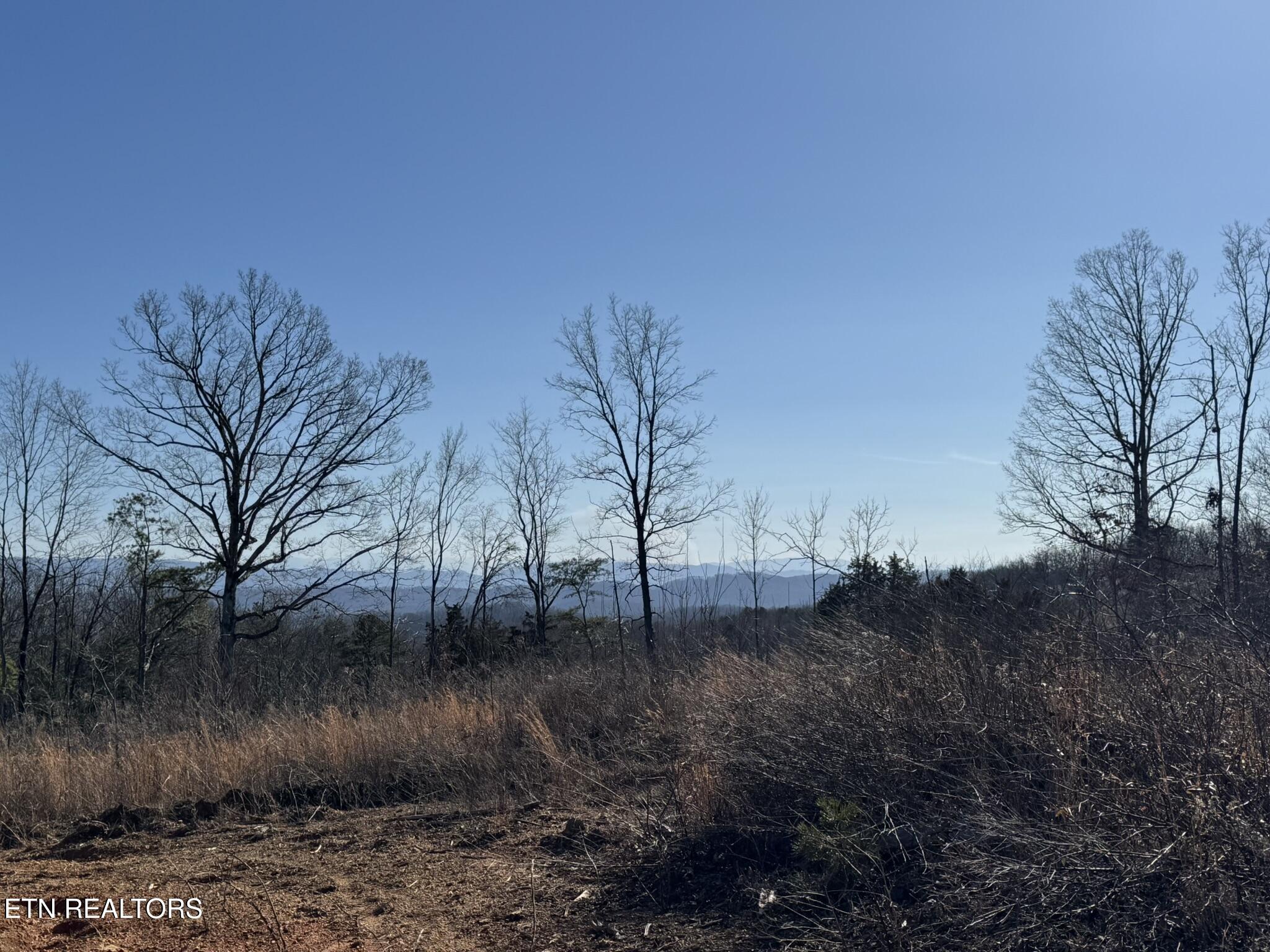 Mccubbins Road Strawberry Plains, TN 37871 - Photo 13 of 19 IMG_7795