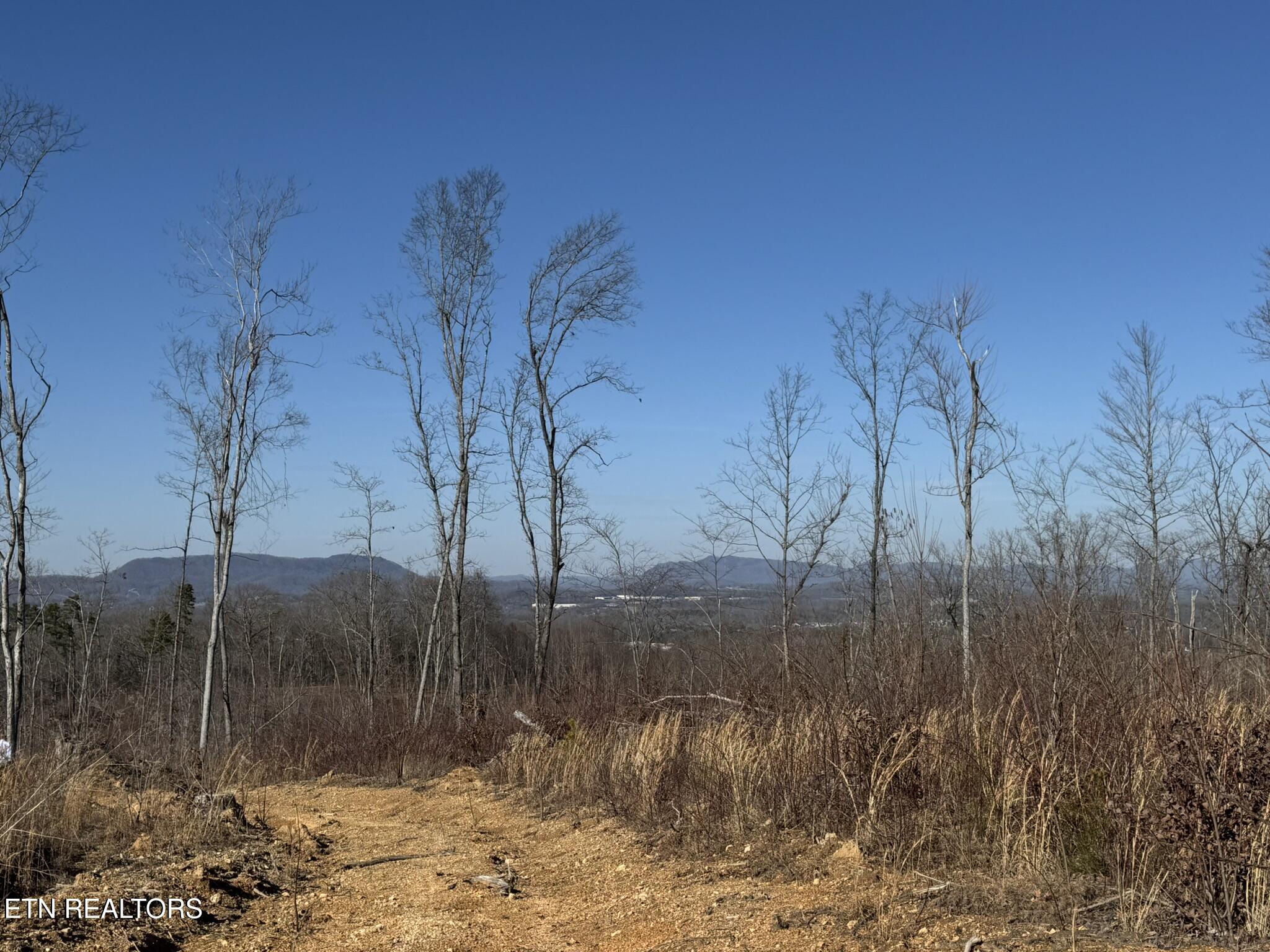 Mccubbins Road Strawberry Plains, TN 37871 - Photo 14 of 19 IMG_7796