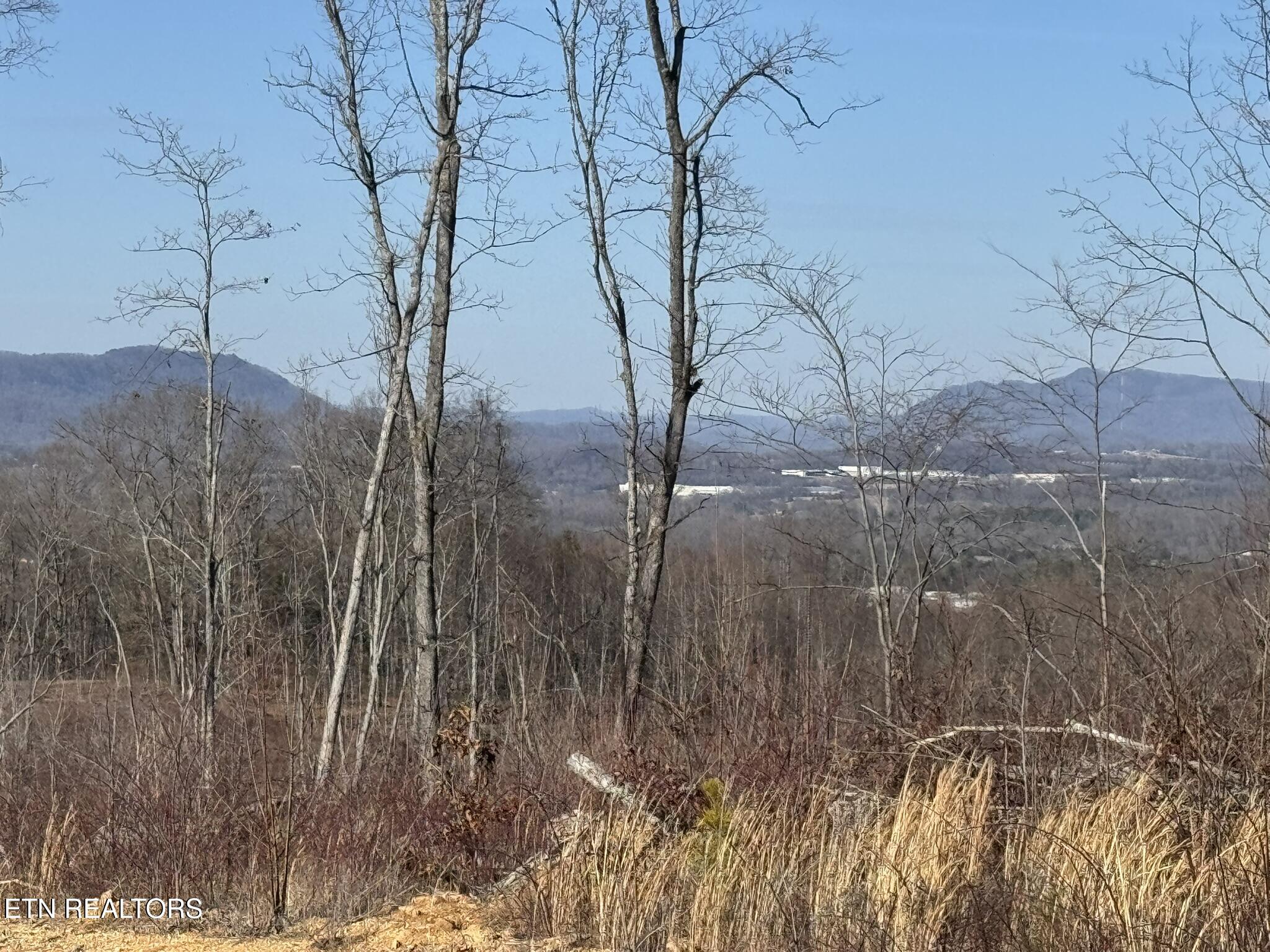 Mccubbins Road Strawberry Plains, TN 37871 - Photo 15 of 19 IMG_7797