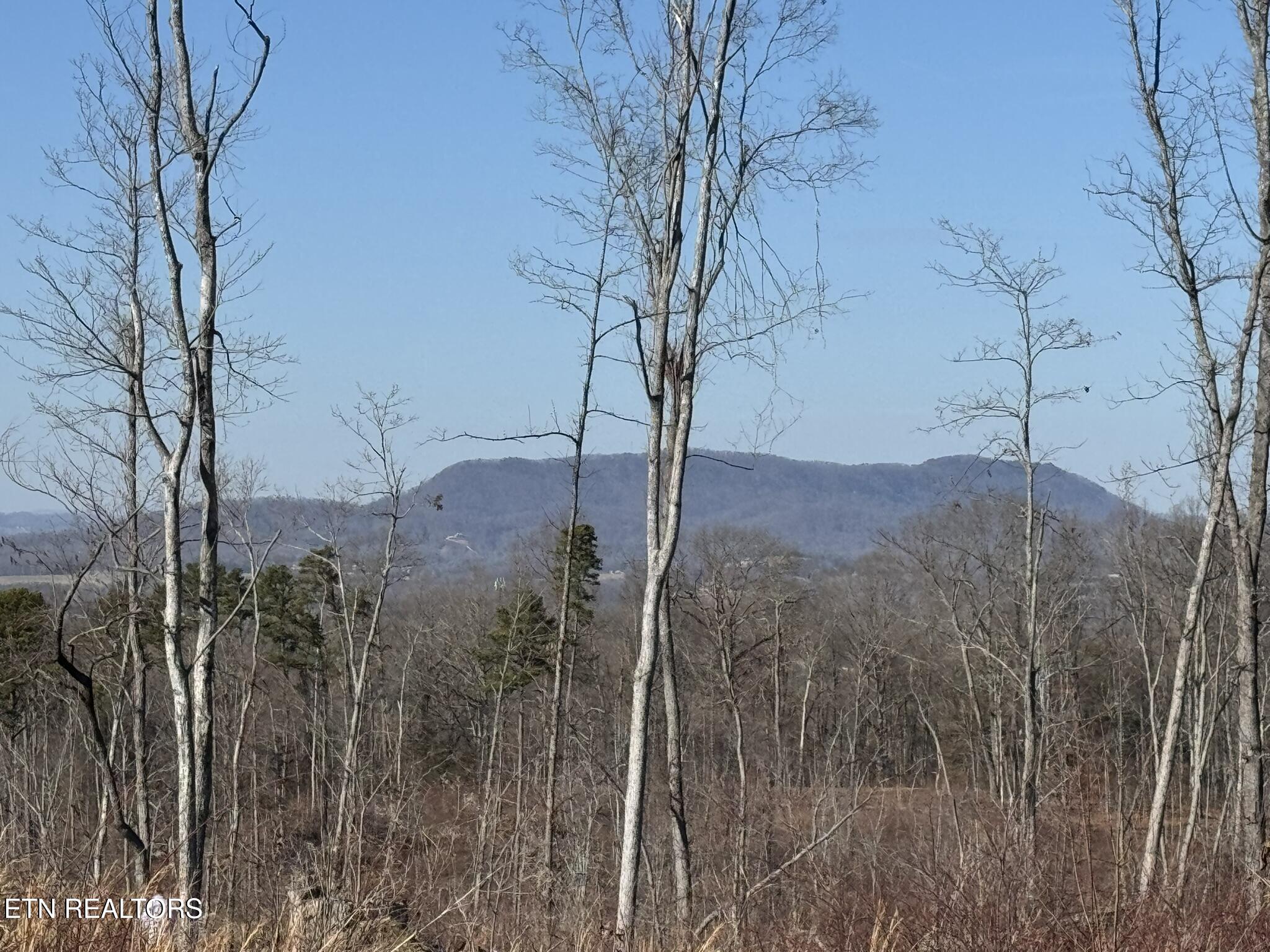 Mccubbins Road Strawberry Plains, TN 37871 - Photo 16 of 19 IMG_7798