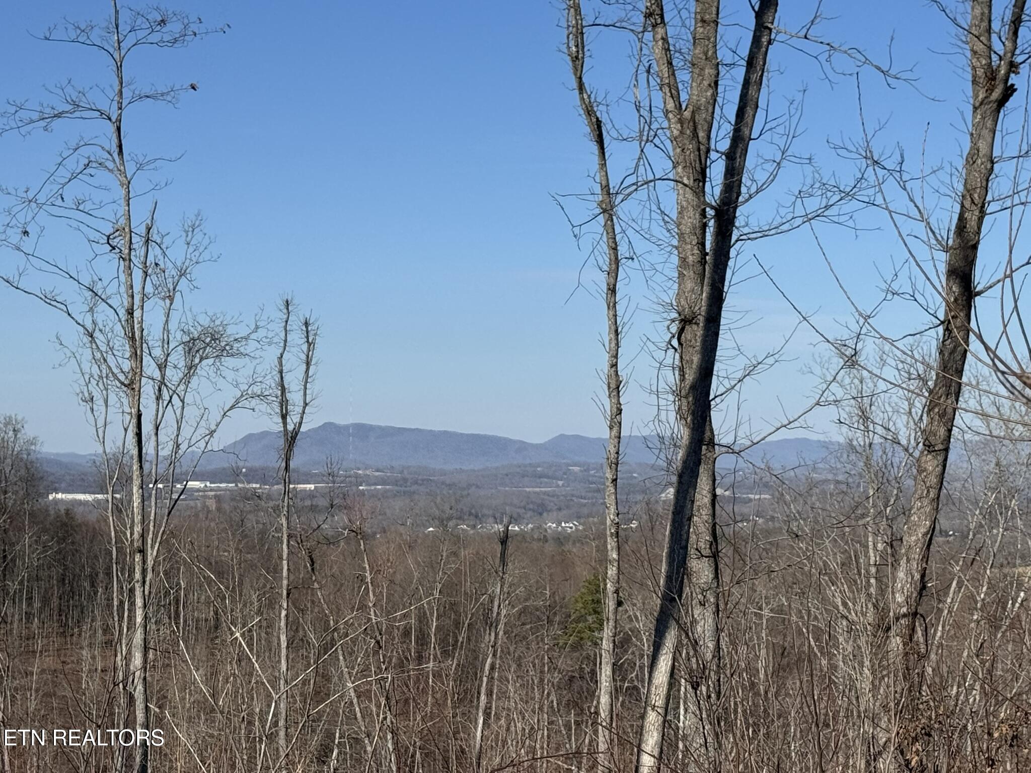 Mccubbins Road Strawberry Plains, TN 37871 - Photo 17 of 19 IMG_7810