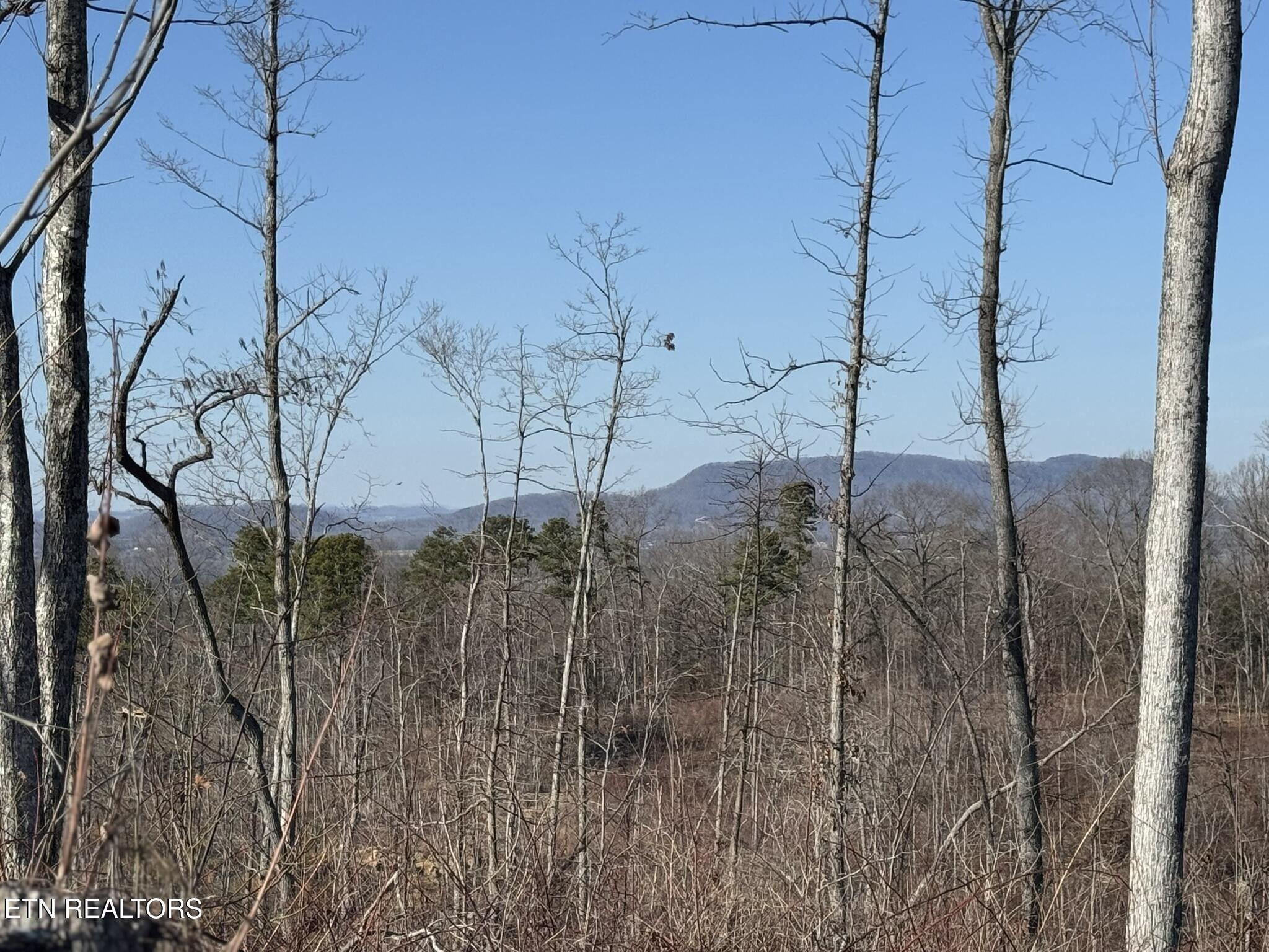 Mccubbins Road Strawberry Plains, TN 37871 - Photo 18 of 19 IMG_7812