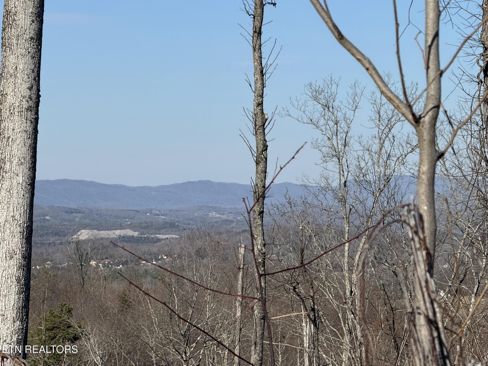 Mccubbins Road Strawberry Plains, TN 37871 - Photo 19 of 19 IMG_7821
