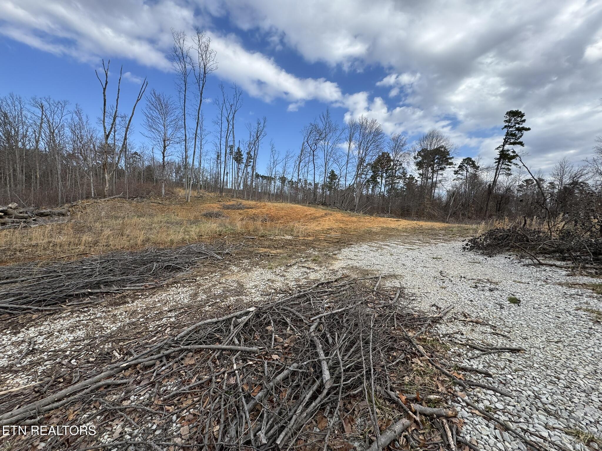 Mccubbins Road Strawberry Plains, TN 37871 - Photo 4 of 19 IMG_8928
