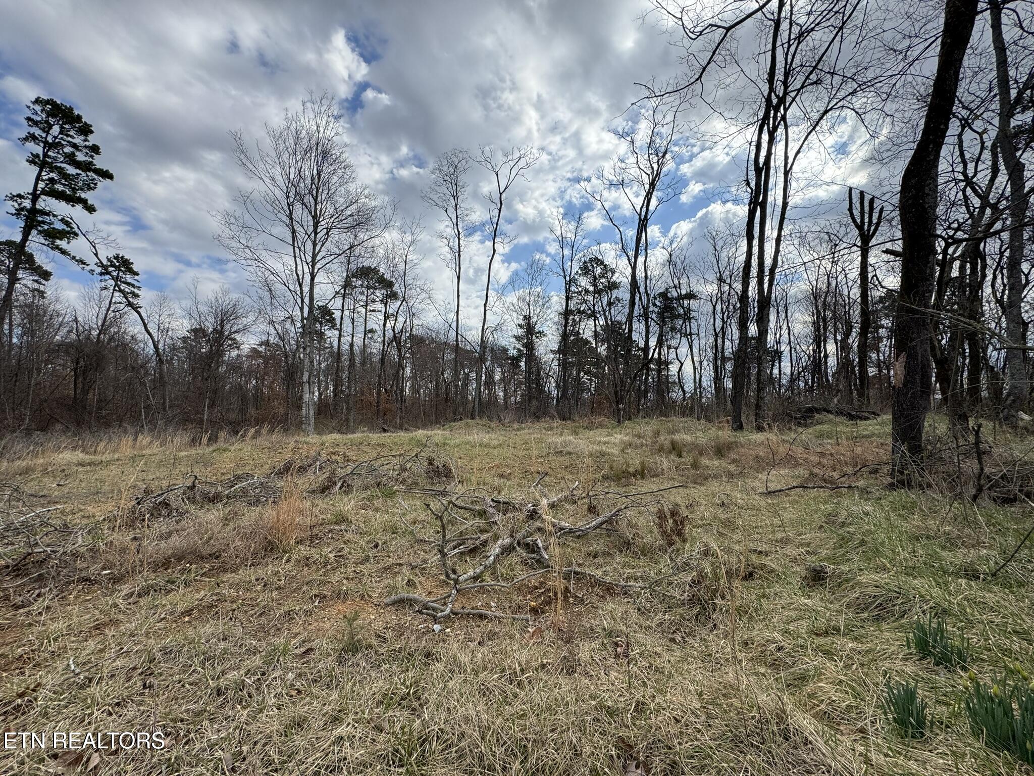 Mccubbins Road Strawberry Plains, TN 37871 - Photo 5 of 19 IMG_8929