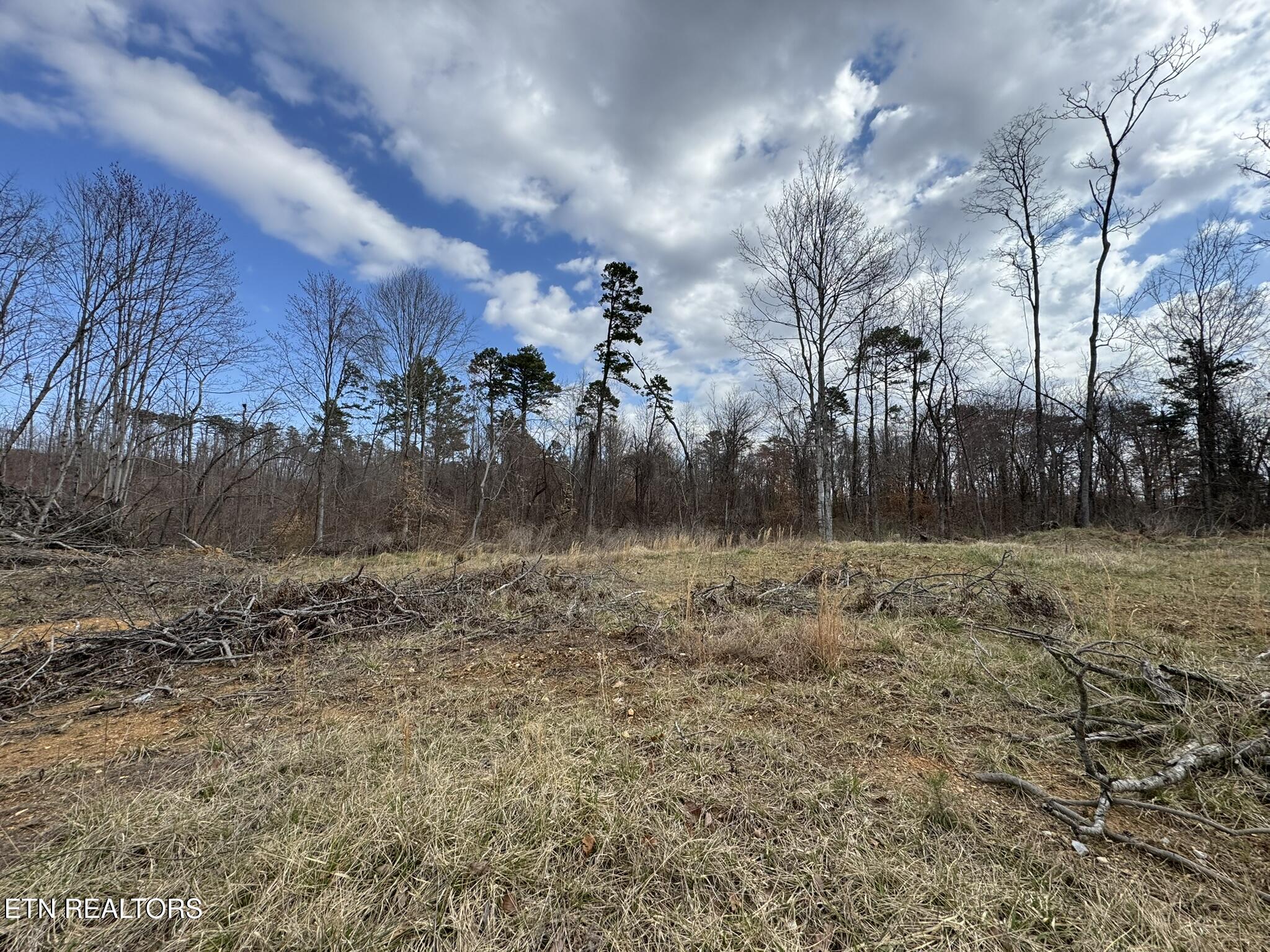 Mccubbins Road Strawberry Plains, TN 37871 - Photo 6 of 19 IMG_8931