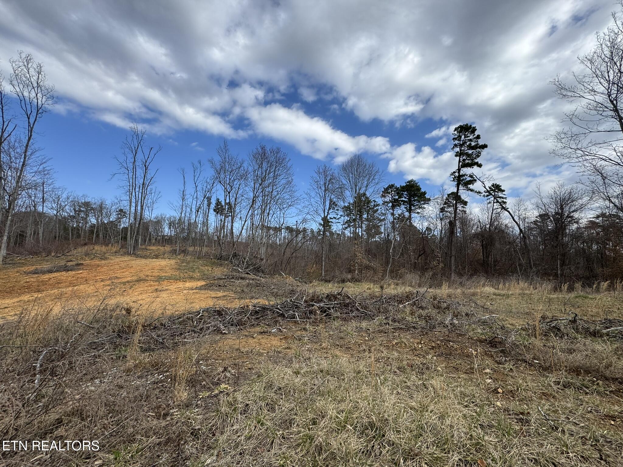 Mccubbins Road Strawberry Plains, TN 37871 - Photo 7 of 19 IMG_8932