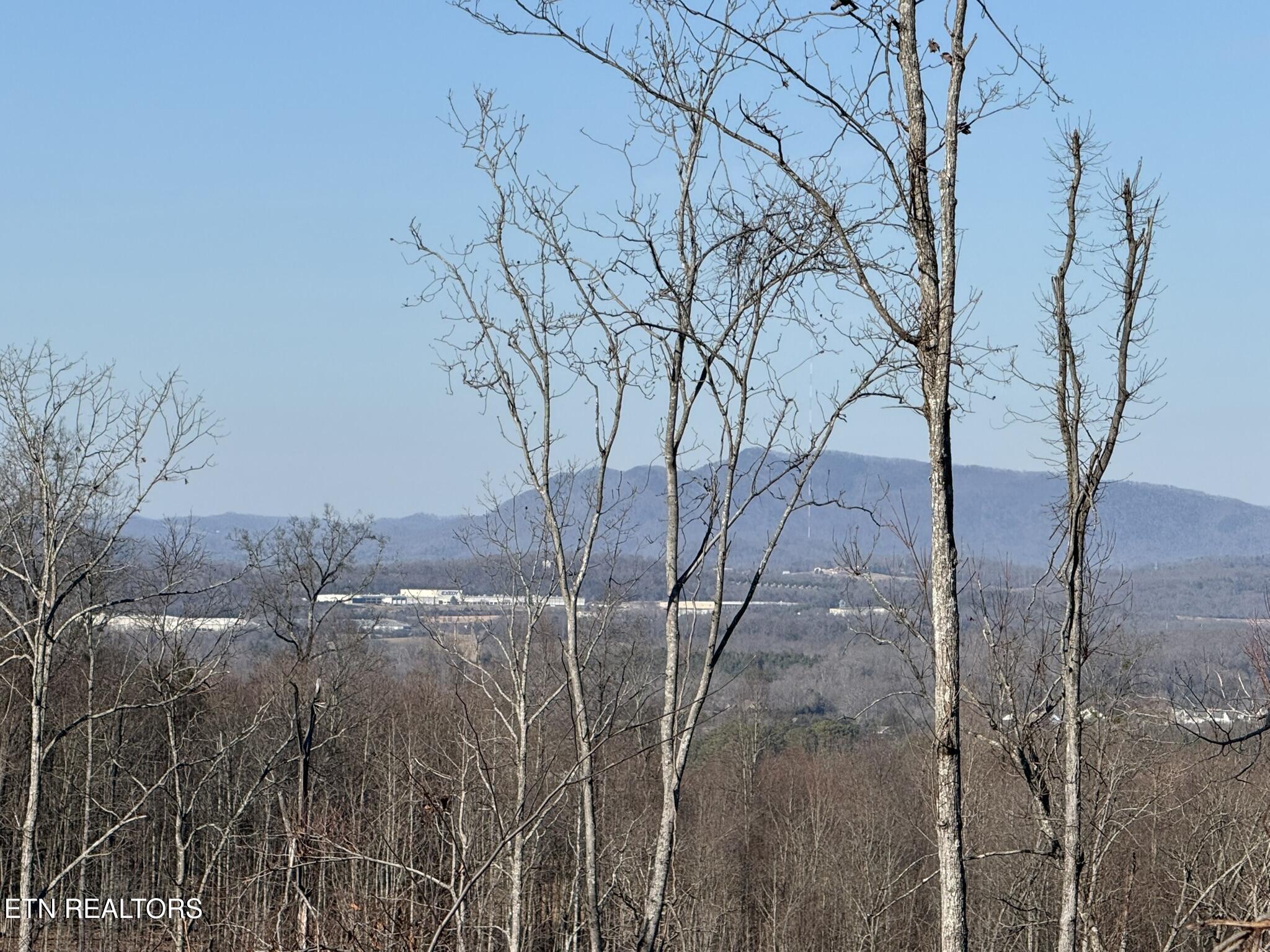 Mccubbins Road Strawberry Plains, TN 37871 - Photo 9 of 19 IMG_7820