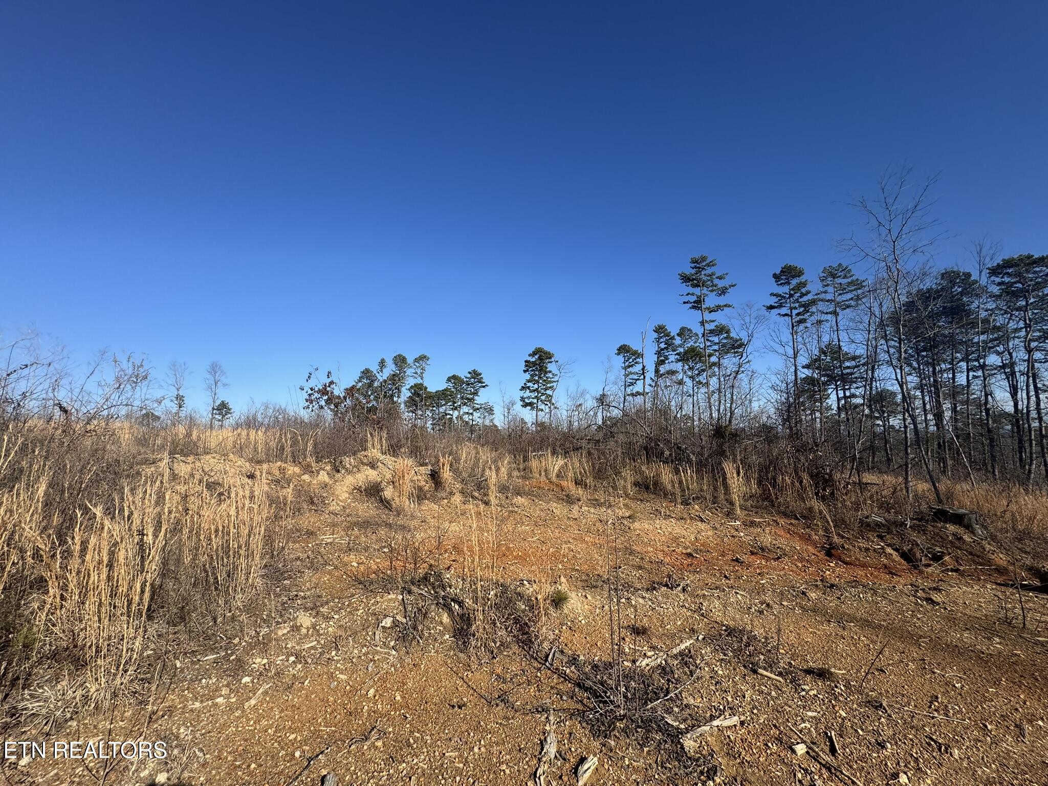 Mccubbins Road Strawberry Plains, TN 37871 - Photo 10 of 19 IMG_7790