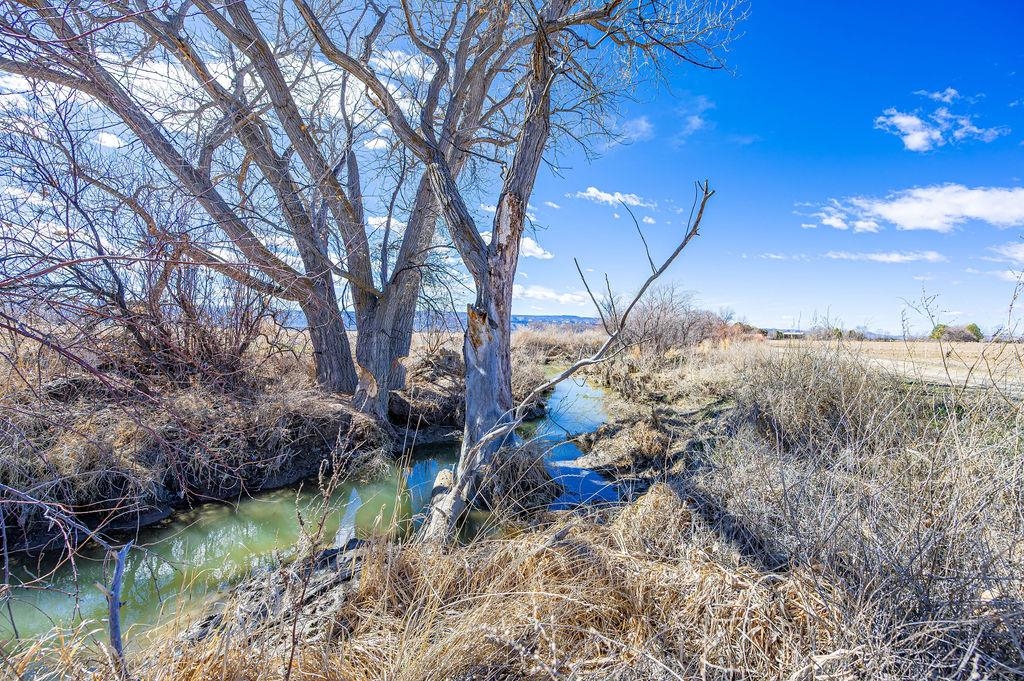 Tbd L Road Grand Junction, CO 81505 - Photo 8 of 21 a backyard of a house with lots of green space