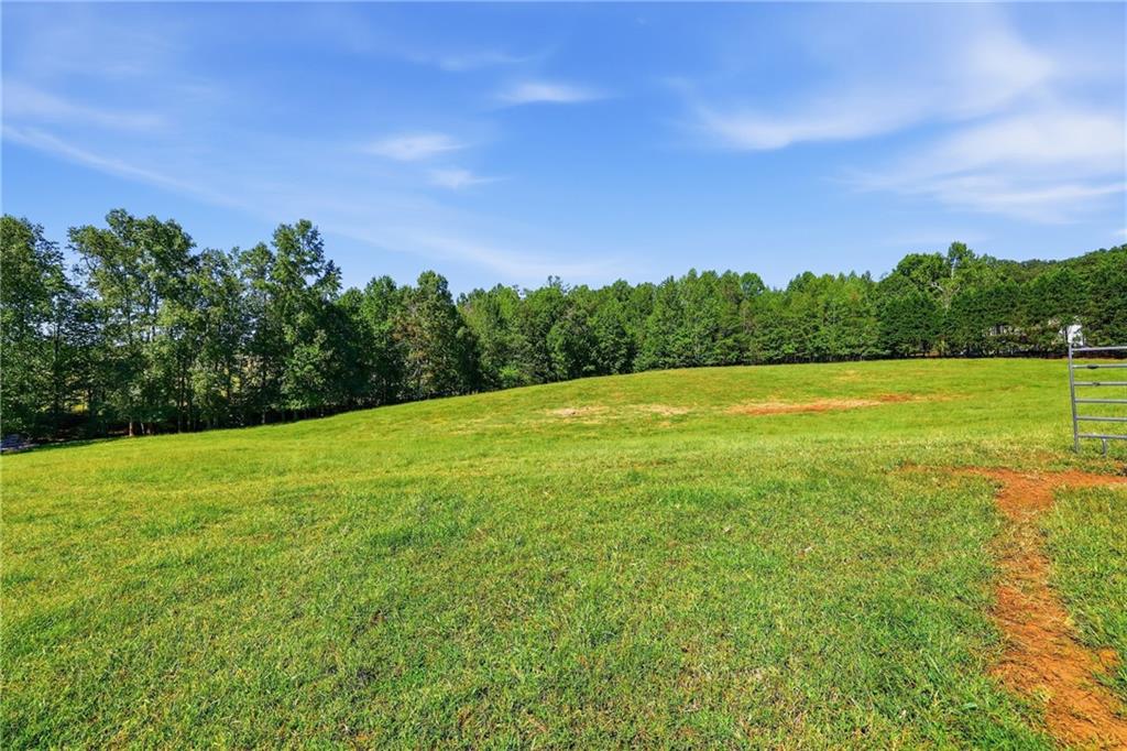 1133 Ricky West Road Cleveland, GA 30528 - Photo 61 of 66 Gallery Image 61