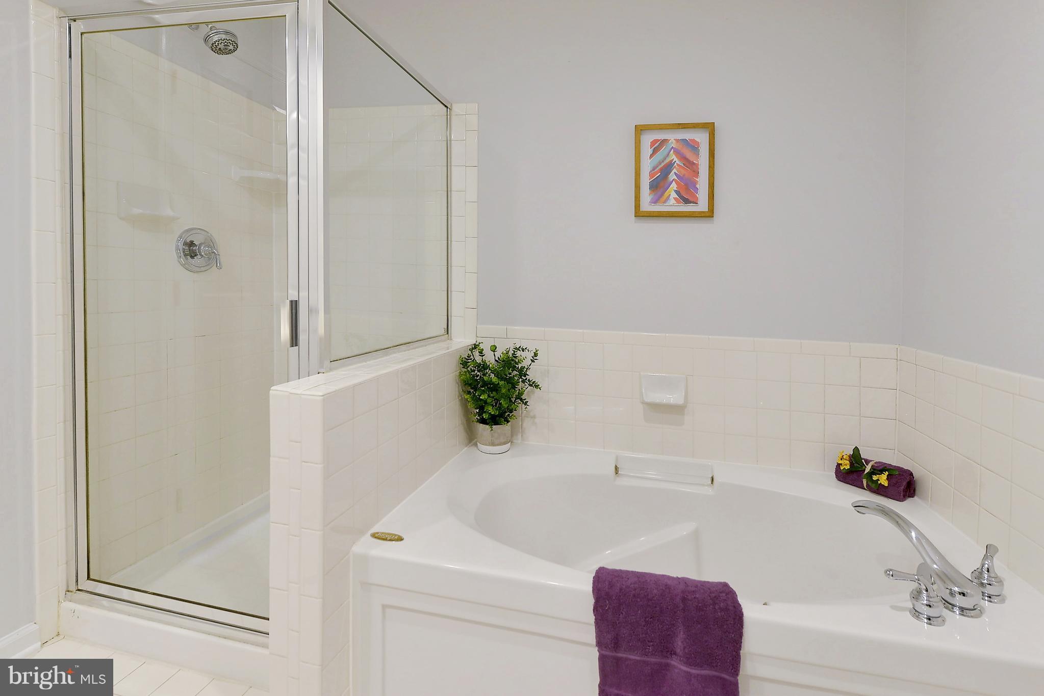 807 Capitol Square Place Southwest Washington, DC 20024 - Photo 18 of 30 a bathroom with a bathtub and a shower