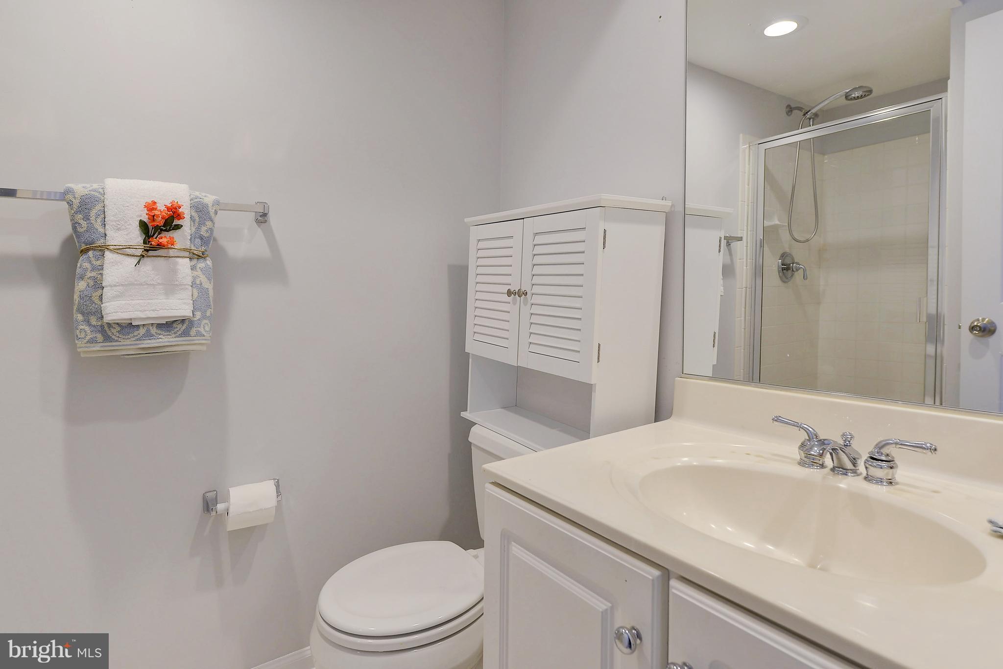 807 Capitol Square Place Southwest Washington, DC 20024 - Photo 24 of 30 a bathroom with a sink a toilet and shower curtain