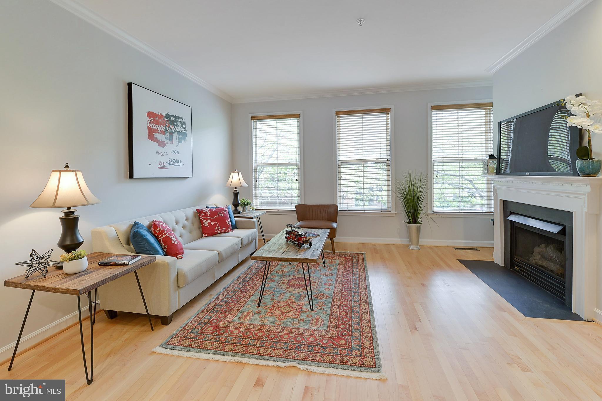 807 Capitol Square Place Southwest Washington, DC 20024 - Photo 5 of 30 a living room with furniture and a fireplace