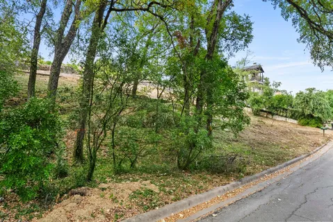 a view of a backyard with large trees