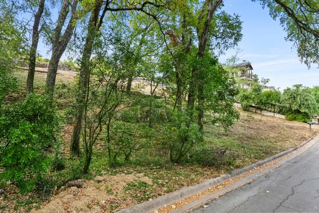 a view of a backyard with large trees