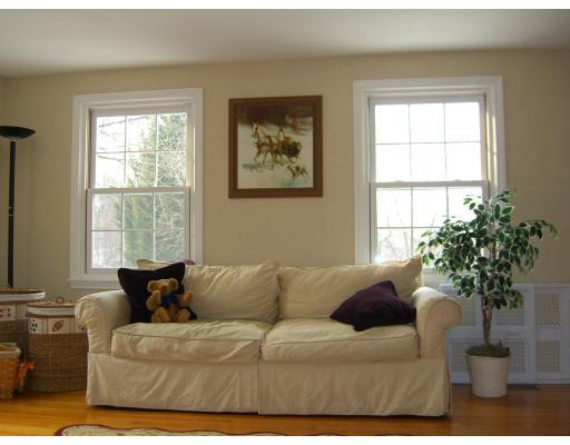 339 S Road Hampden, MA 01036 - Photo 9 of 17 a living room with furniture and a potted plant
