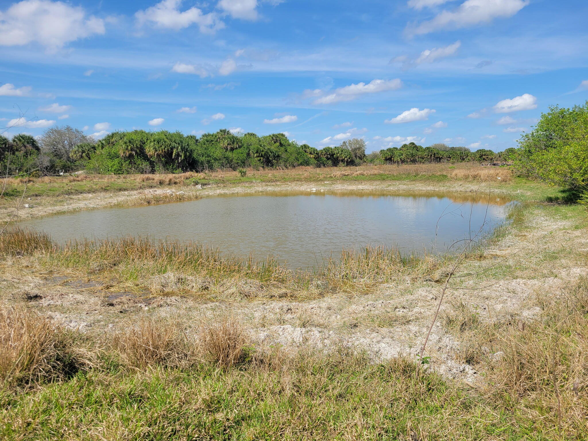 0 Cabbage Lane Okeechobee, FL 34974 - Photo 1 of 5 a view of lake view and mountain in the back