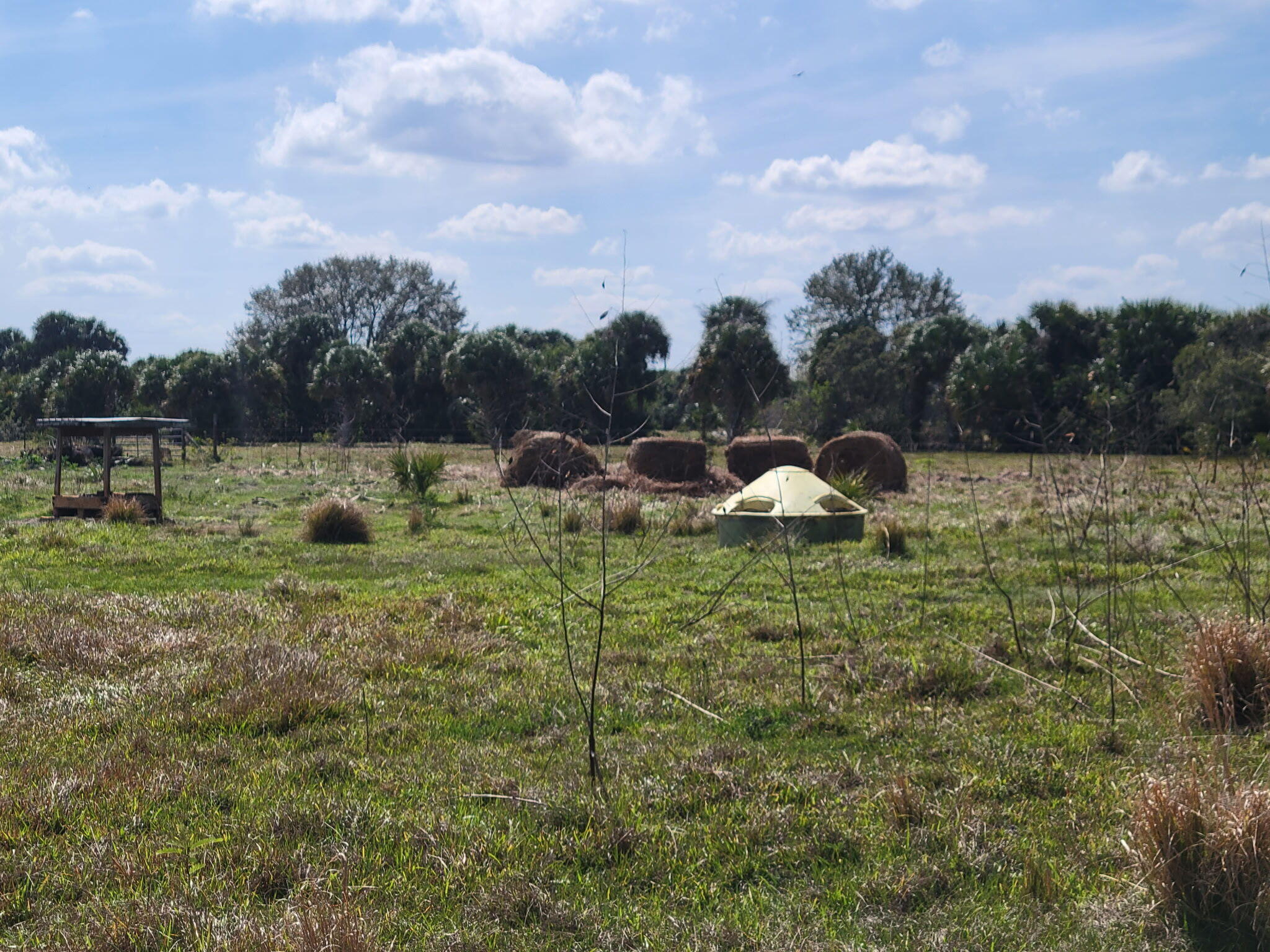 0 Cabbage Lane Okeechobee, FL 34974 - Photo 3 of 5 a backyard of a house with lots of green space