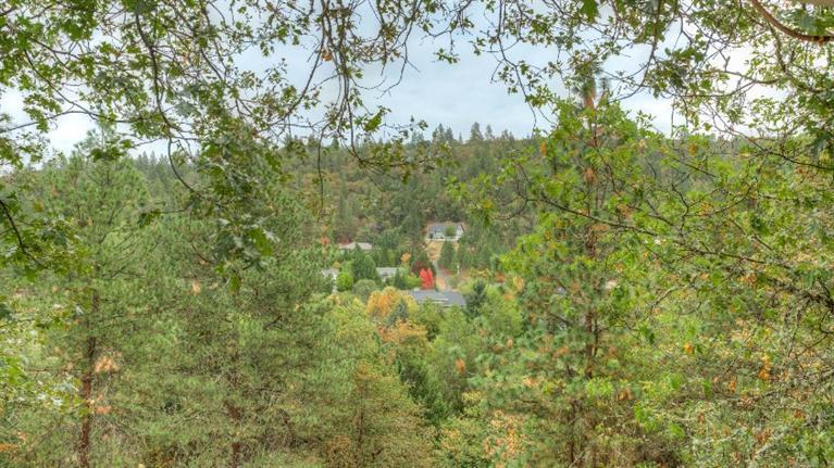 985 Applegate Street Jacksonville, OR 97530 - Photo 22 of 31 Additional Photo