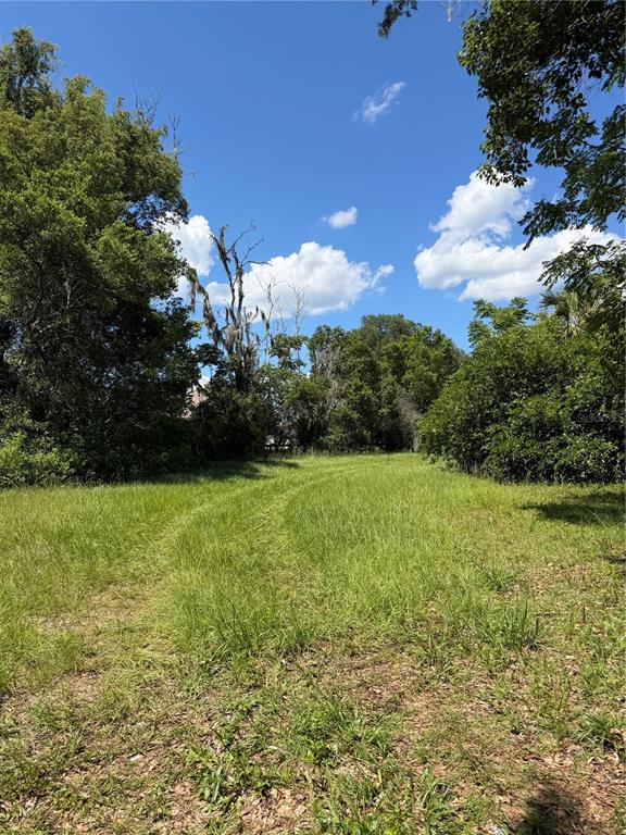 Property Location Island DeLand, FL 32724 - Photo 6 of 9 a view of a garden with plants