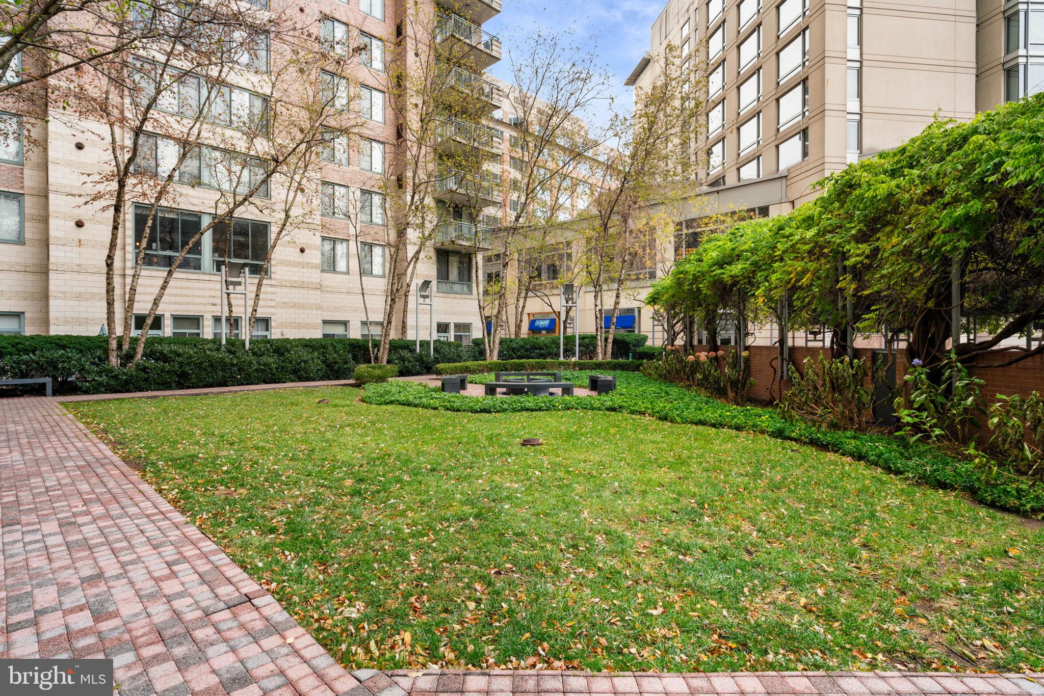 851 North Glebe Road, Unit 1011 Arlington, VA 22203 - Photo 4 of 41 a view of a big yard with plants and trees